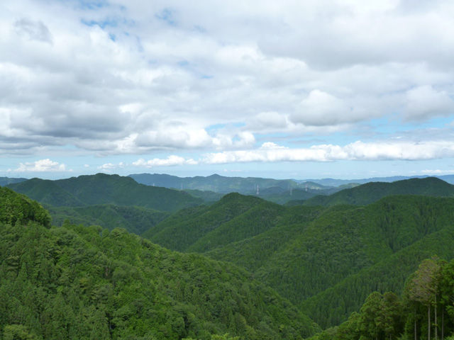 P1030253