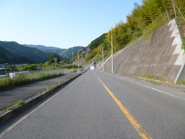 P1030452