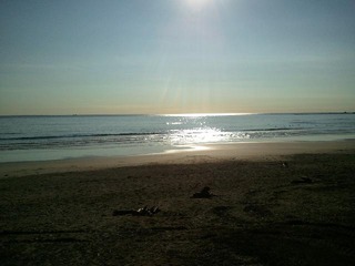 2011-10-24+08_01_43