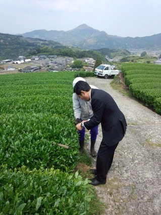 20130503嬉野茶畑激励 (2)