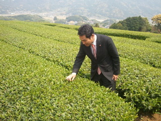 20130503嬉野茶畑激励 (11)