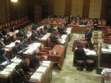 784d919d.JPG