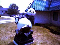 Panda2