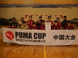 puma2