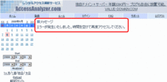 ���ʥ饤���������顼������