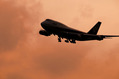 飛行機