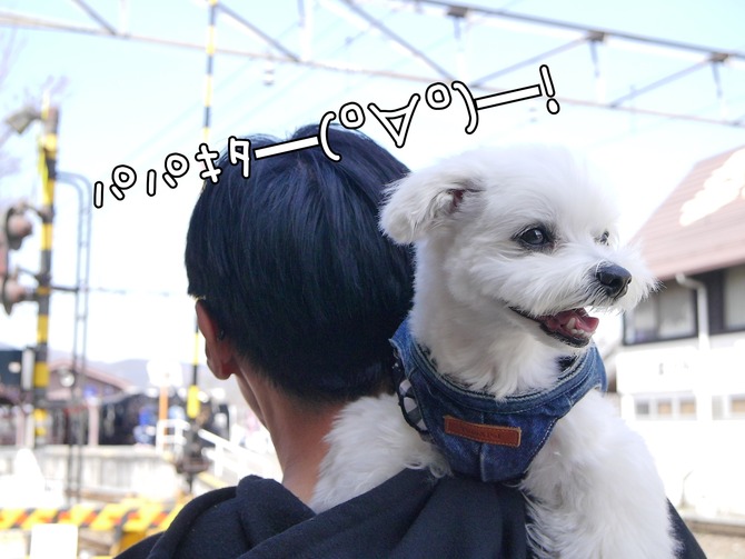 18-03-31-21-19-26-967_deco