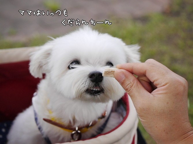 18-09-10-22-13-34-807_deco