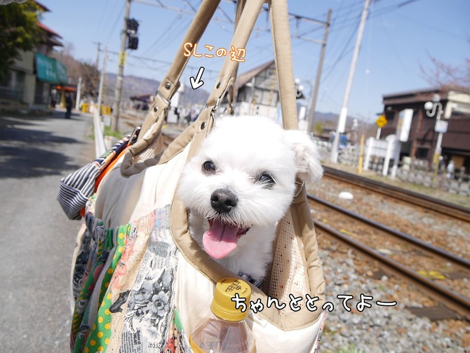 18-03-31-21-17-28-099_deco