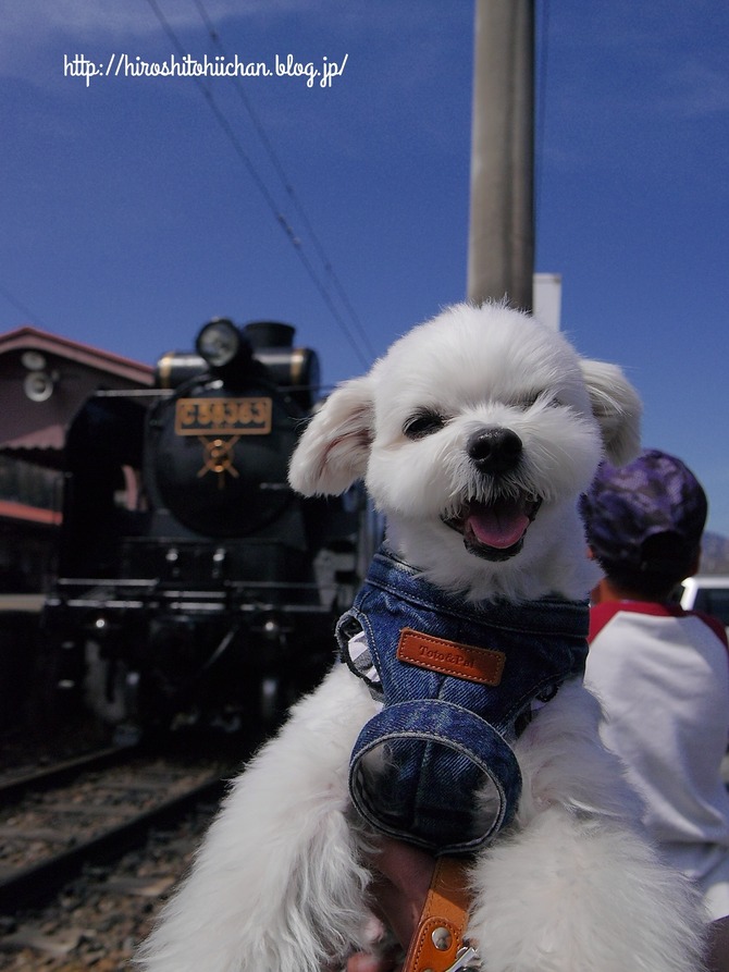 18-03-31-21-36-56-392_deco