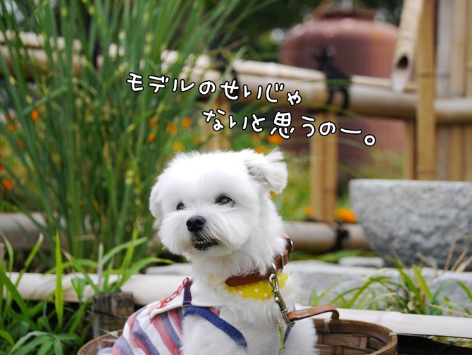 18-09-10-22-12-32-540_deco