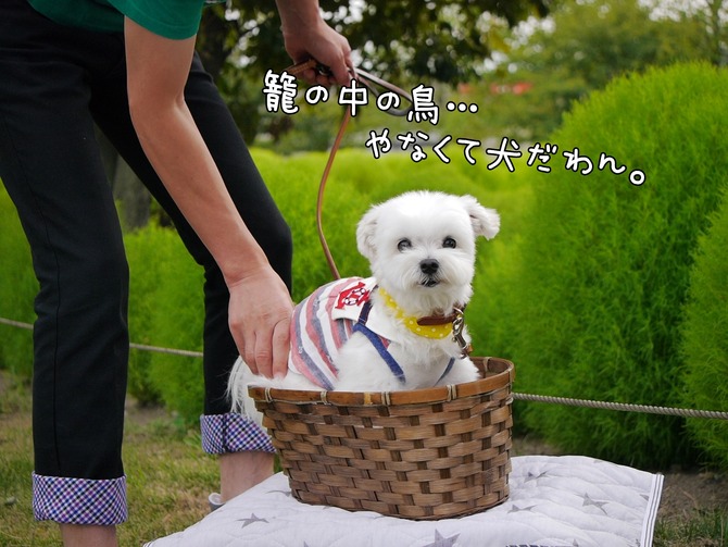 18-09-10-22-10-00-329_deco