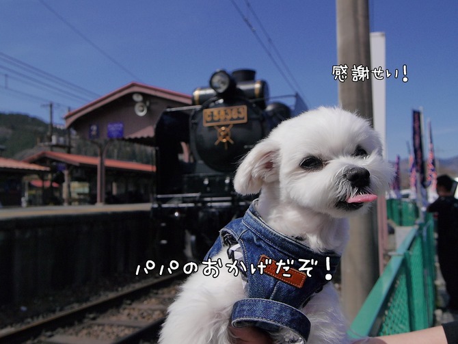 18-03-31-21-36-15-554_deco