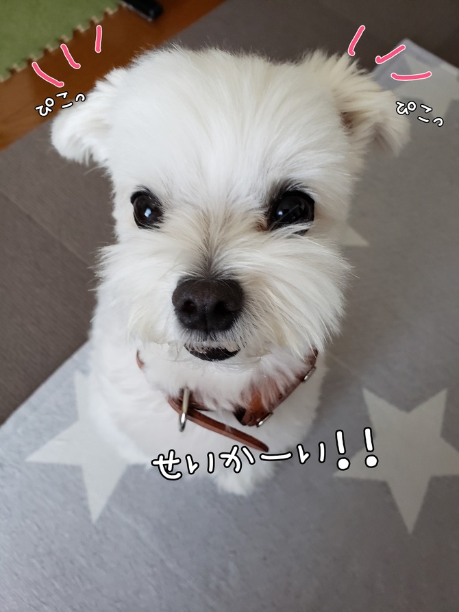 18-09-10-00-11-51-481_deco