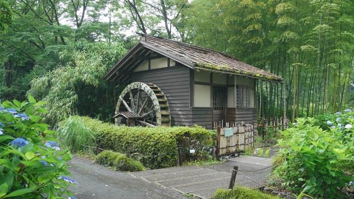 P1020749s