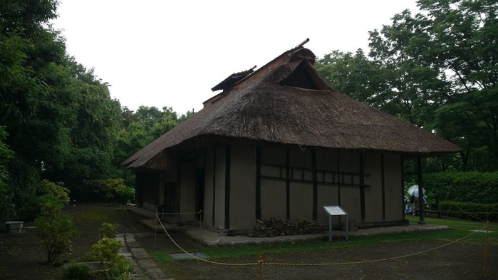 P1020707s