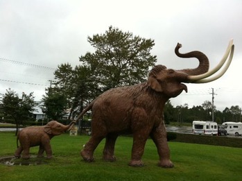 __ 1 (4)
