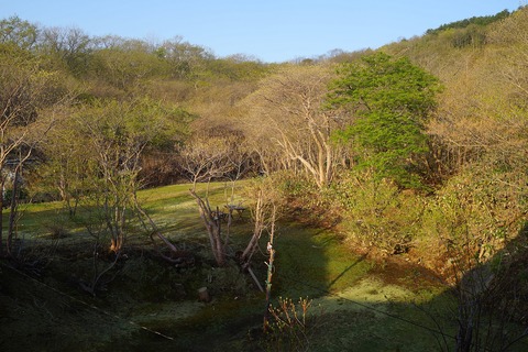 DSC08129