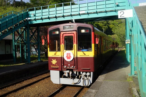 DSC07974