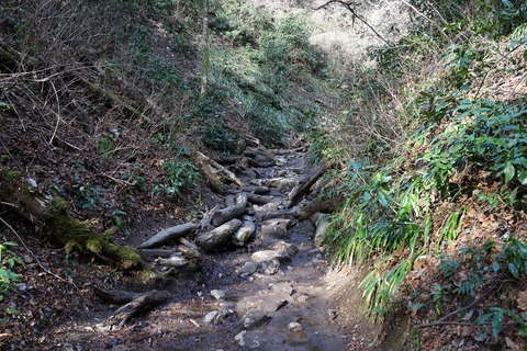 DSC00164