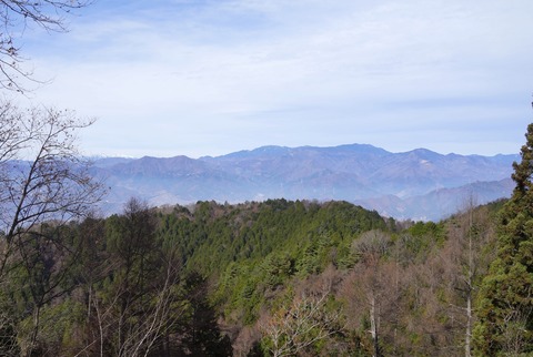 DSC04248