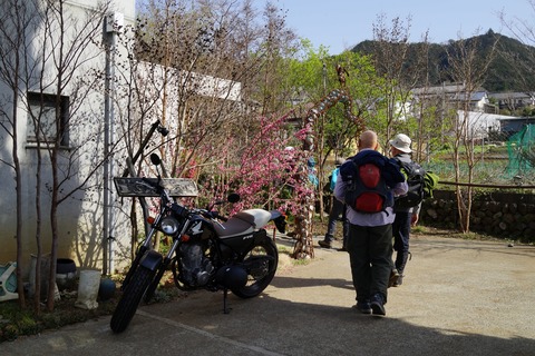 DSC07655