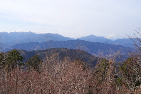 DSC00173