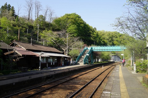 DSC07973