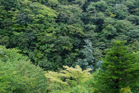 DSC03265