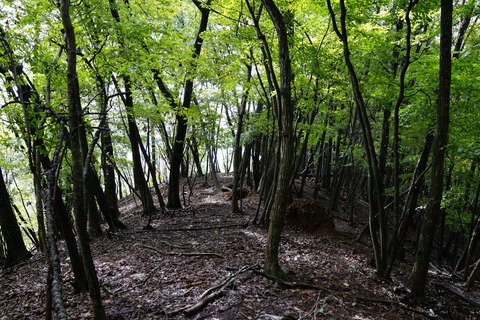 DSC06413