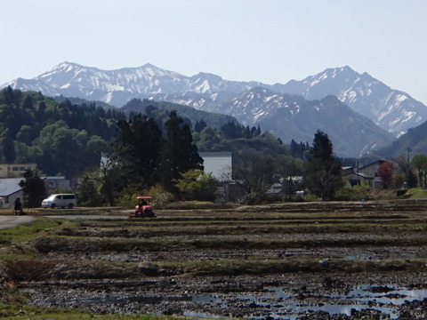 P5050342