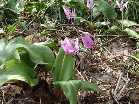 P5050330