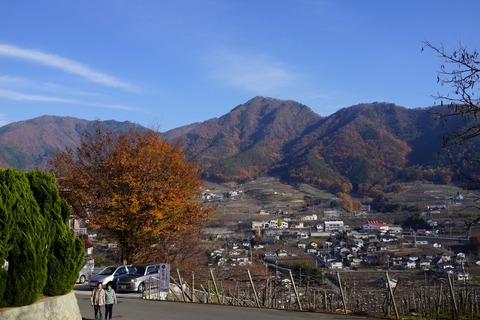 DSC04265