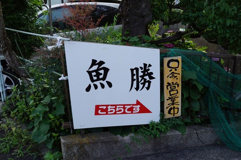 DSC09187