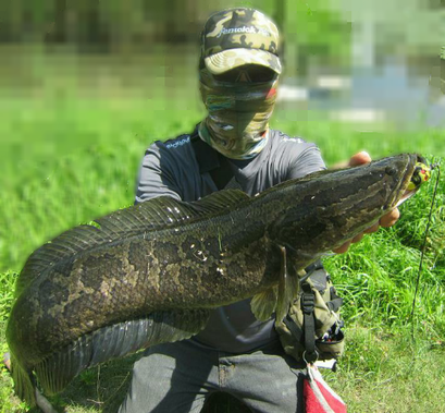 ぶつ持ち1