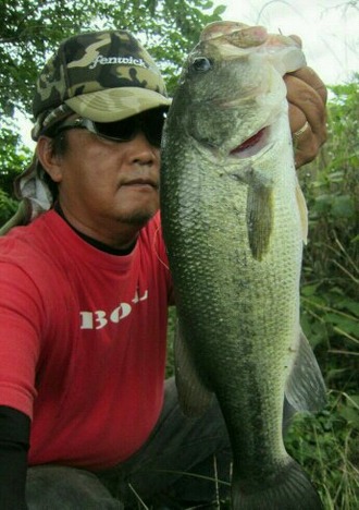バス12