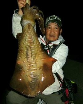 アオリ7