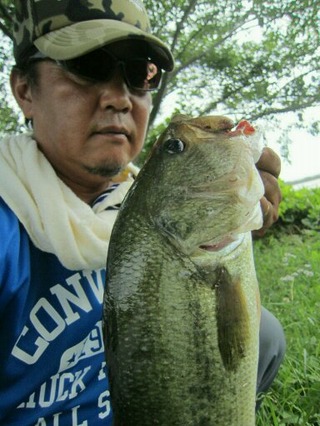 バス14