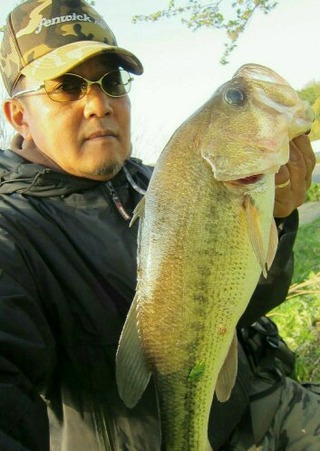 バス15