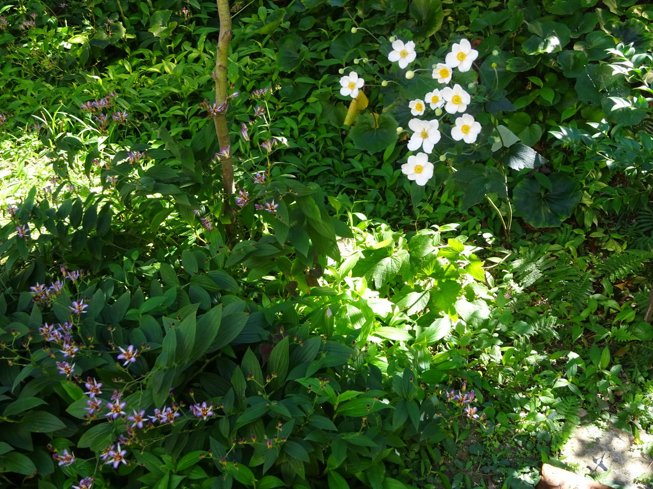 DSC03815