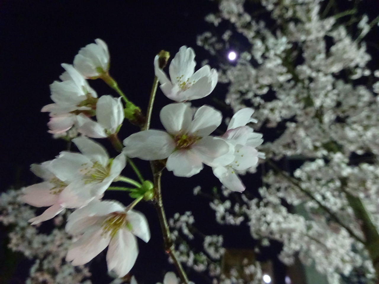 DSC01921