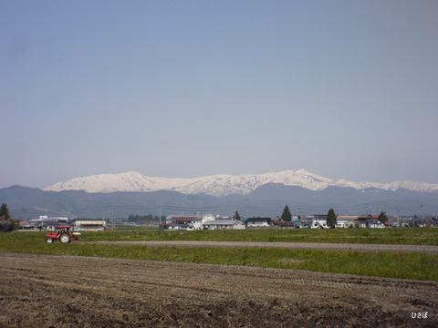 P1050841