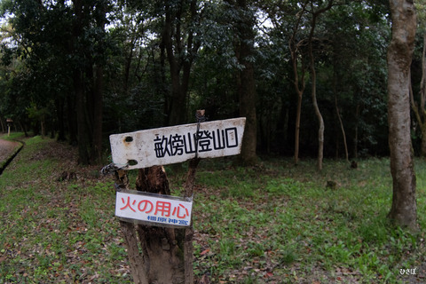 DSCF4661