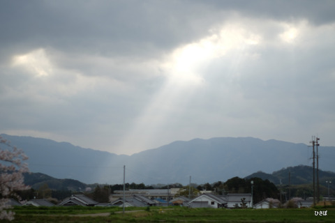 DSCF4844