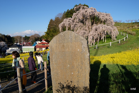 DSCF9002