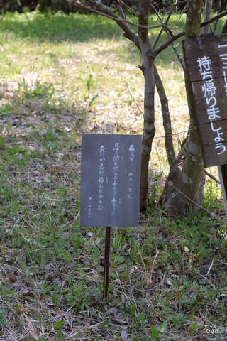 DSCF6102
