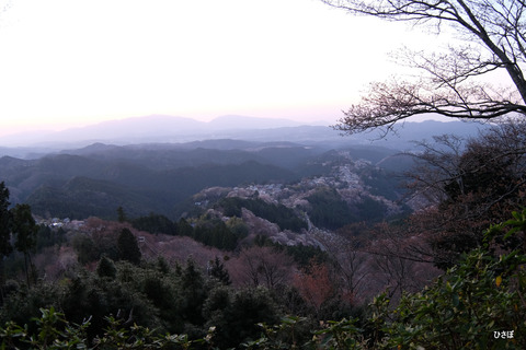 DSCF5669
