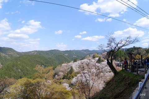 DSCF5430