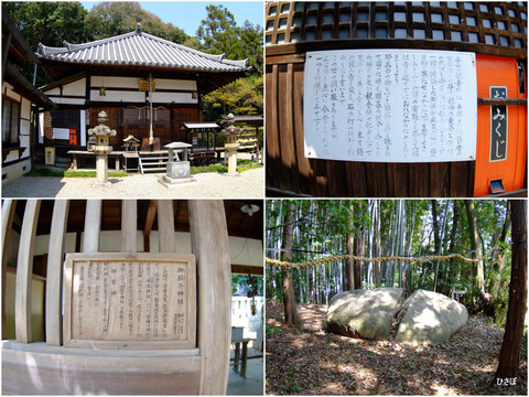 20170416_吉野34