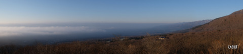 DSCF9973